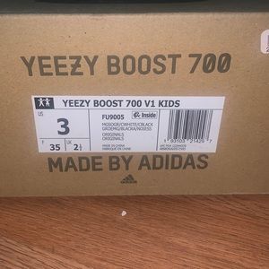 Yeezys boost. Has a stain in one sneaker overall in good condition.